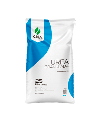 Urea 