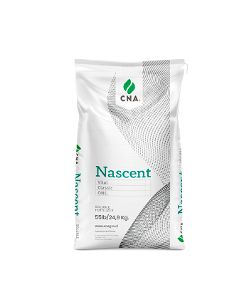 Nascent ONE