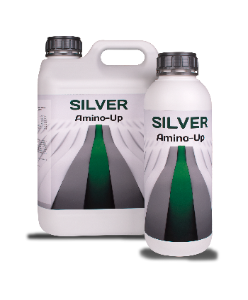 Silver Amino-Up